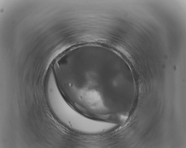 X0000061751023200512091630