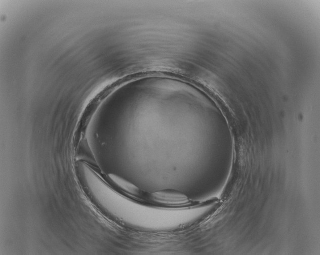 X0000061751024200512091630