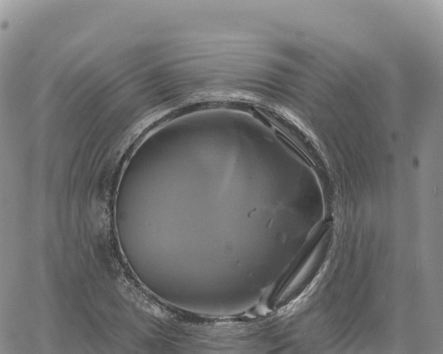 X0000061751025200512091630