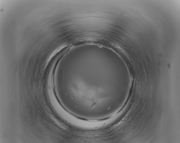 X0000061751026200512091630