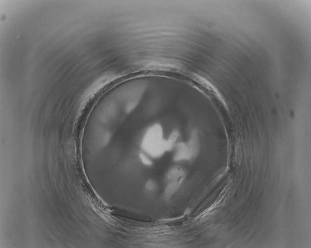 X0000061751027200512091630