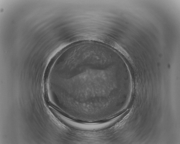 X0000061751028200512091630