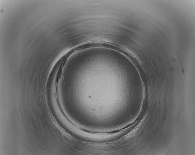 X0000061751029200512091630