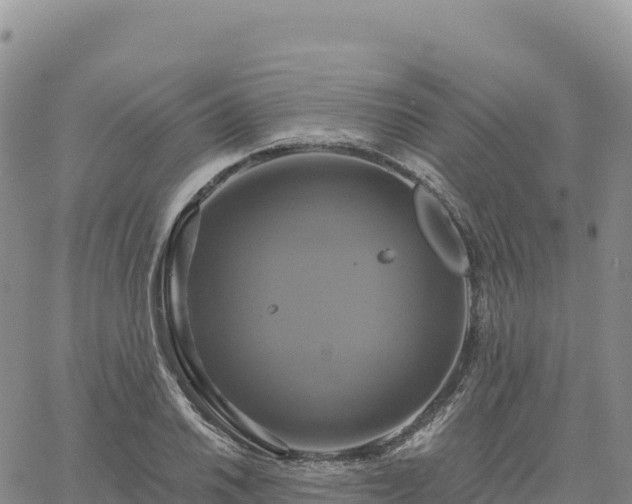 X0000061751030200512091630