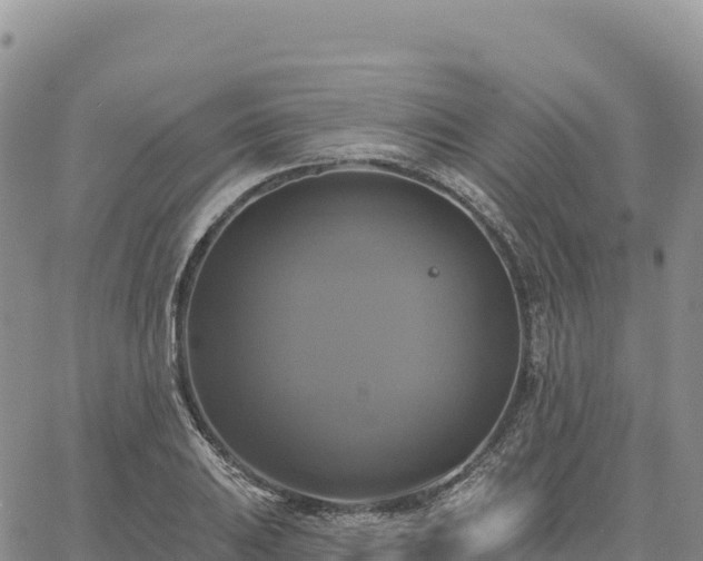 X0000061751031200512091630