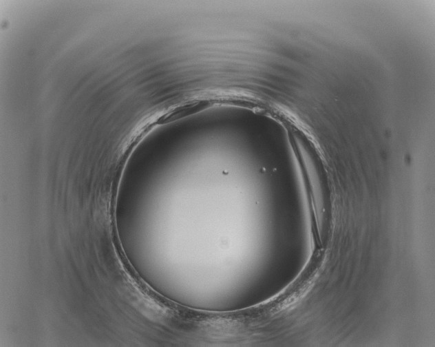 X0000061751033200512091630