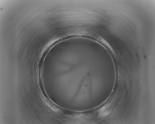 X0000061751035200512091630