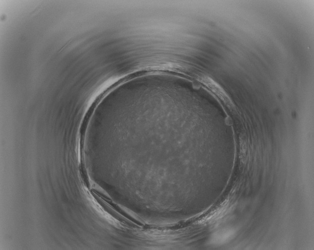 X0000061751036200512091630