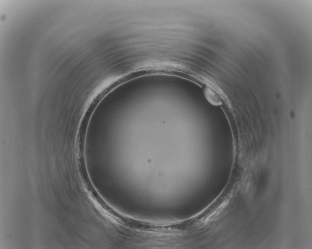 X0000061751037200512091630