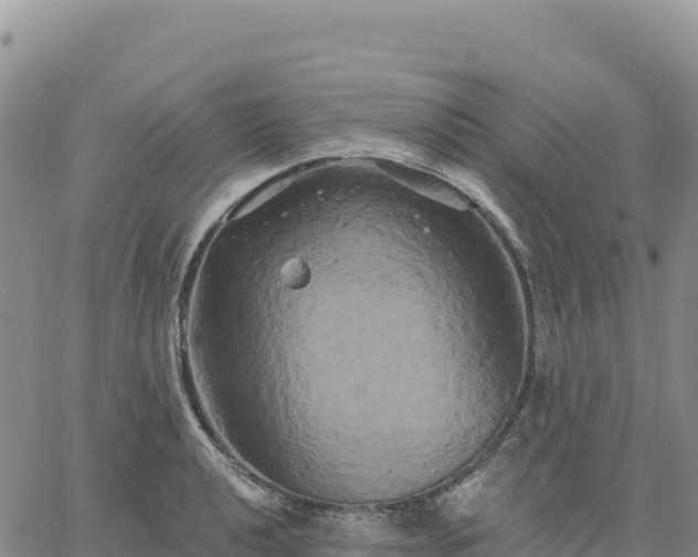 X0000061751040200512091631