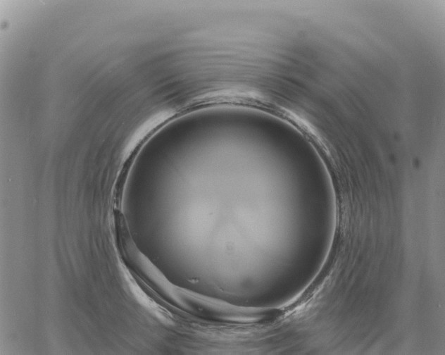 X0000061751042200512091631