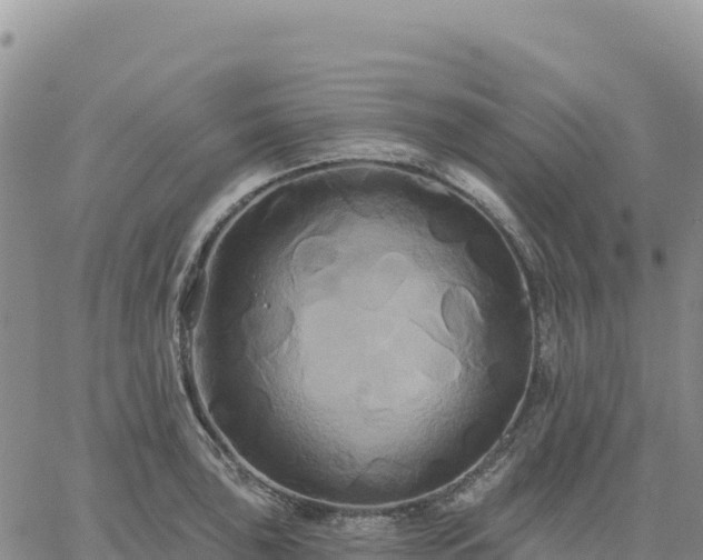 X0000061751043200512091631