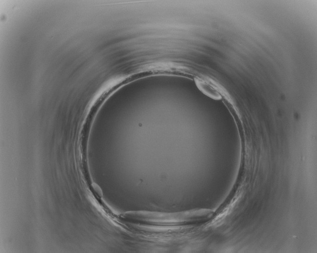 X0000061751045200512091631