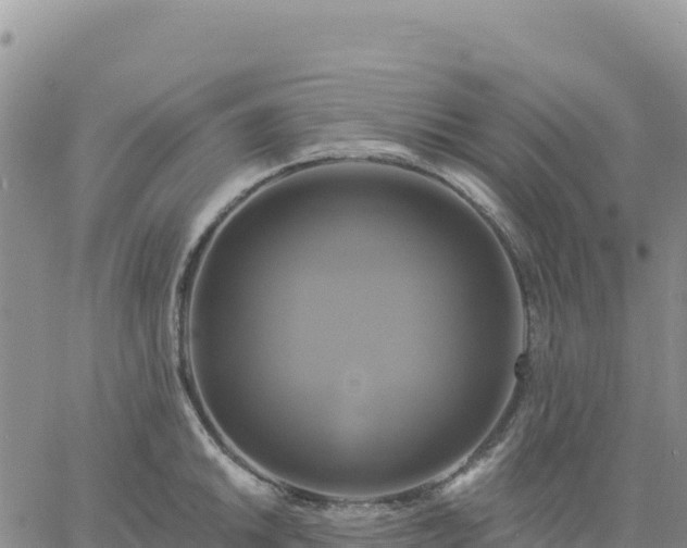 X0000061751046200512091631