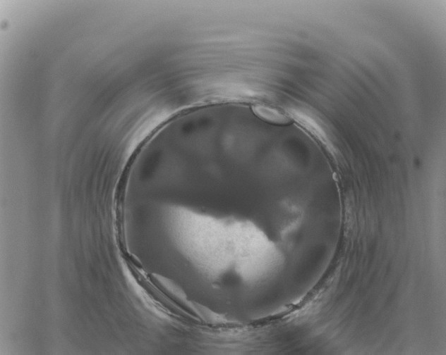 X0000061751047200512091631