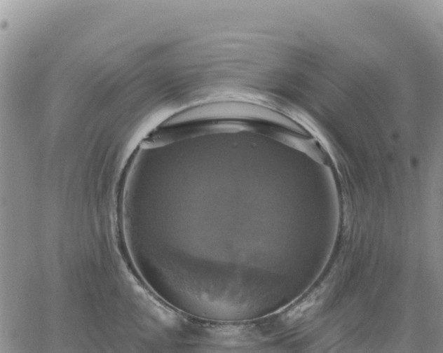 X0000061751048200512091631