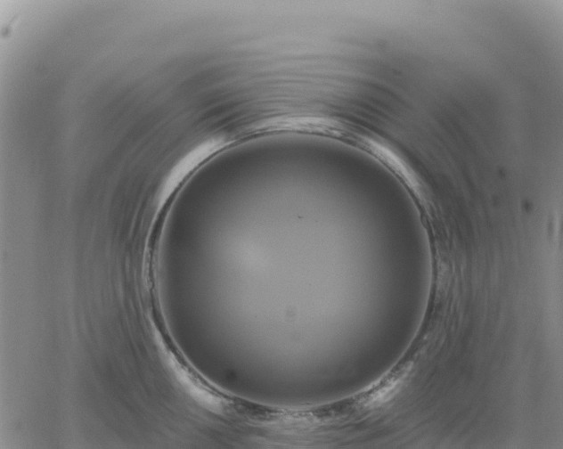 X0000061751050200512091631