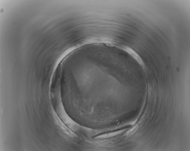 X0000061751052200512091631