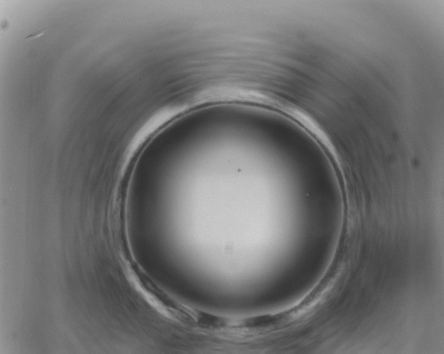 X0000061751053200512091631