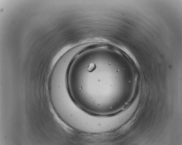 X0000061751054200512091631