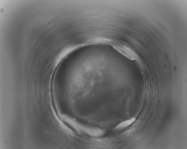 X0000061751055200512091631