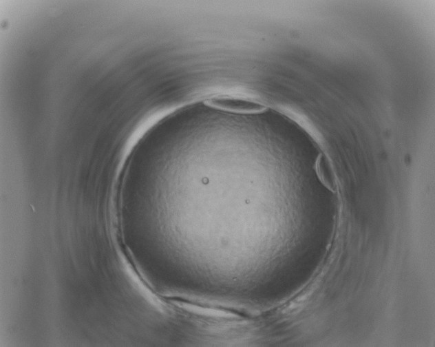 X0000061751056200512091631