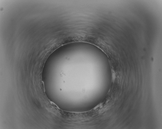 X0000061751057200512091630