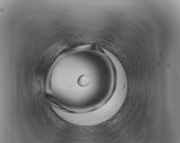 X0000061751058200512091630