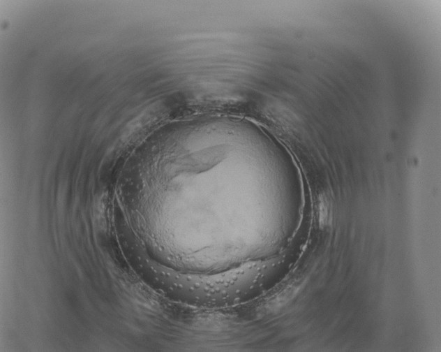 X0000061751059200512091630