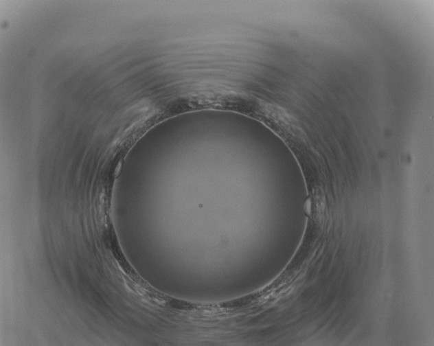 X0000061751060200512091630