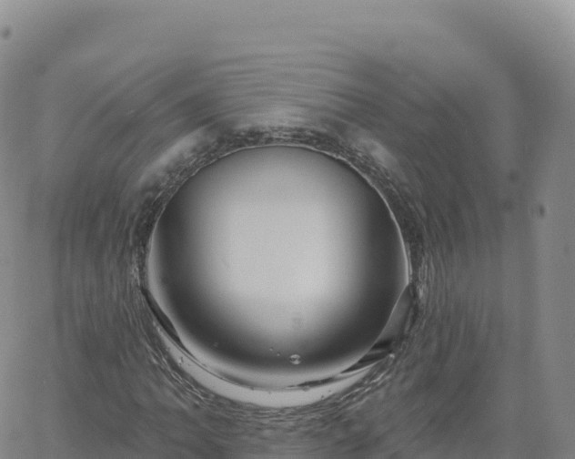 X0000061751062200512091630