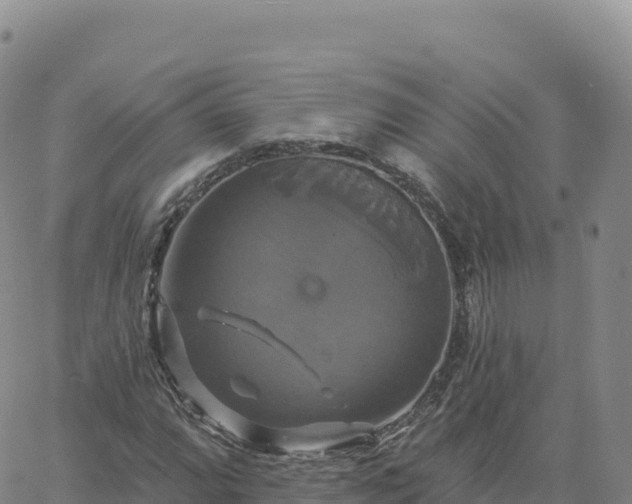 X0000061751064200512091630