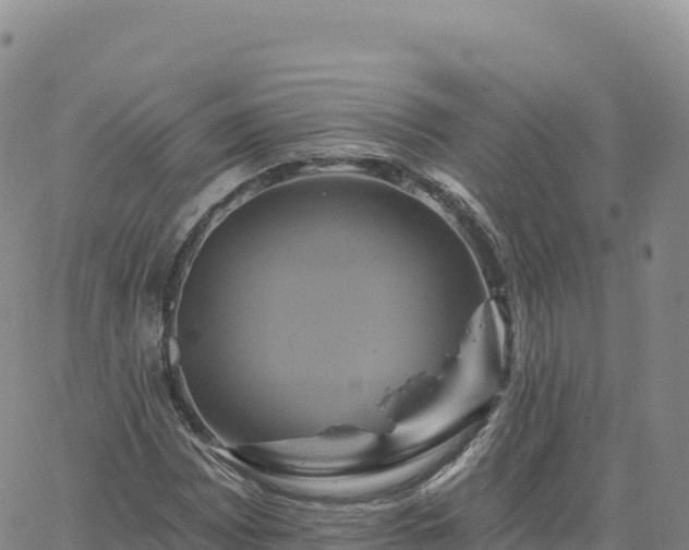 X0000061751065200512091630