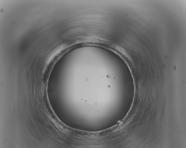 X0000061751067200512091630