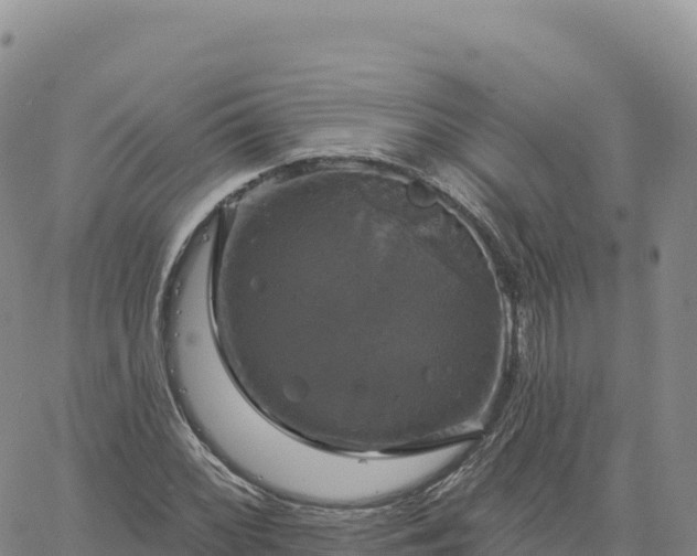 X0000061751068200512091630