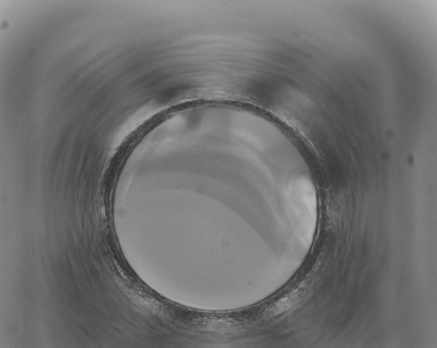 X0000061751070200512091630