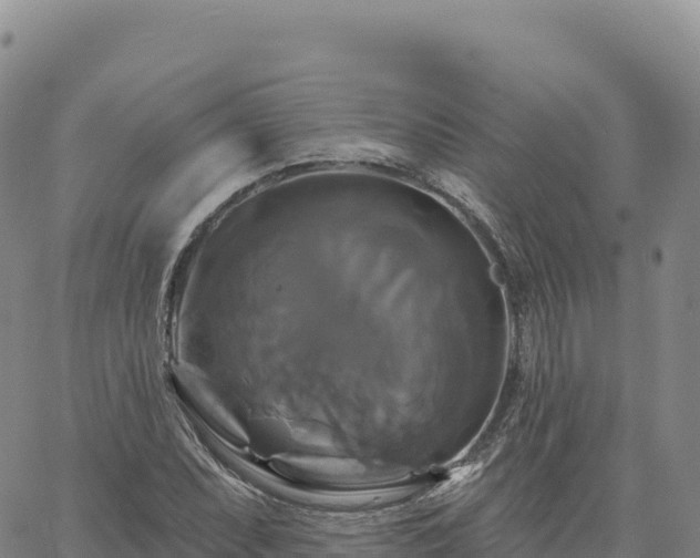 X0000061751071200512091630