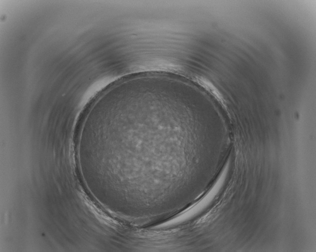 X0000061751072200512091630