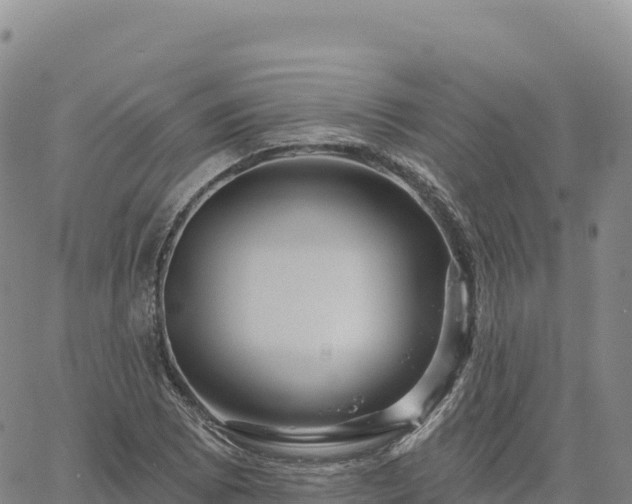 X0000061751073200512091630