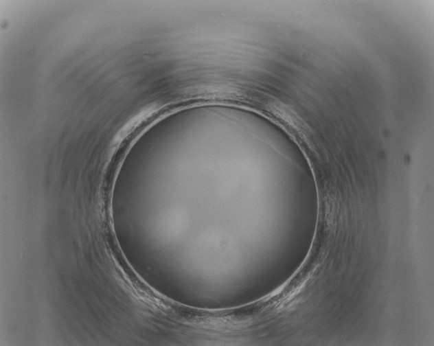 X0000061751074200512091630