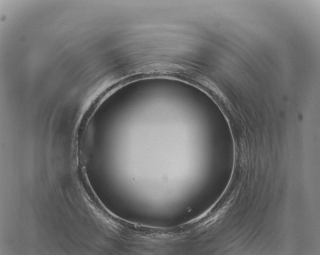 X0000061751075200512091630