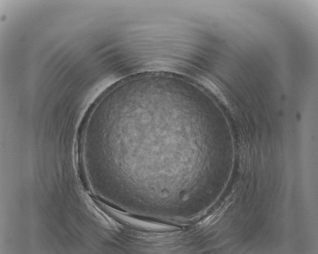 X0000061751076200512091630