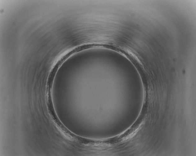 X0000061751077200512091630