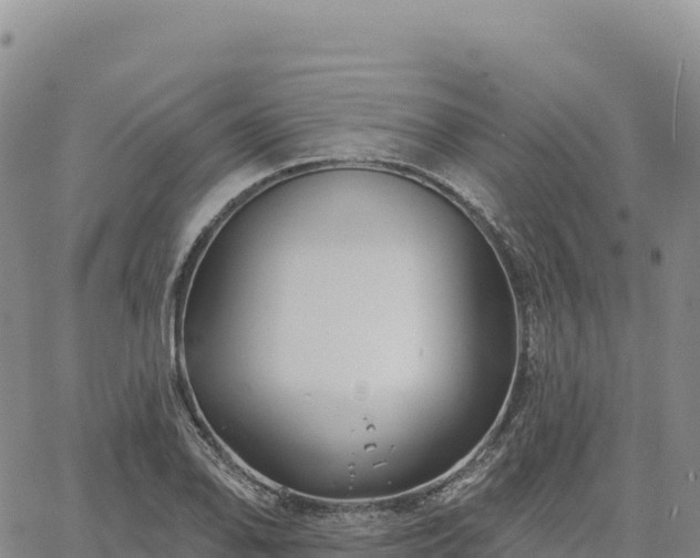 X0000061751078200512091630