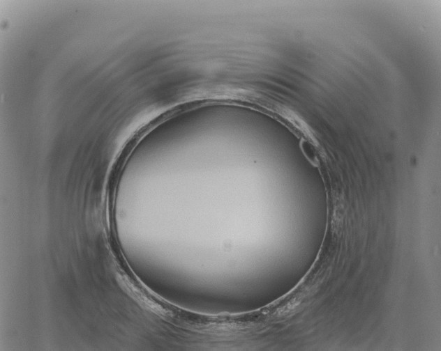 X0000061751080200512091630