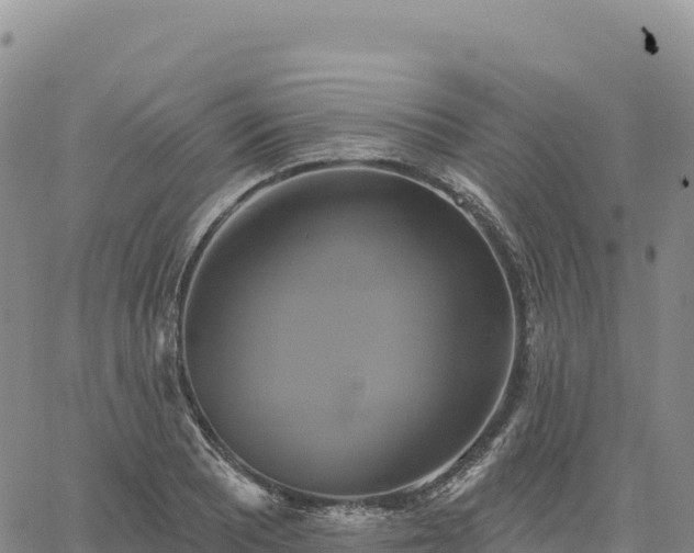 X0000061751081200512091630