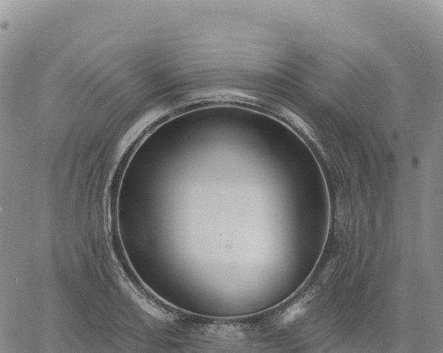 X0000061751082200512091630