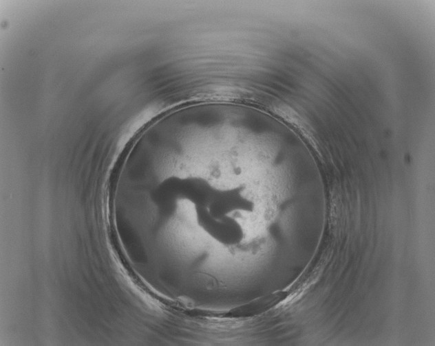 X0000061751083200512091630