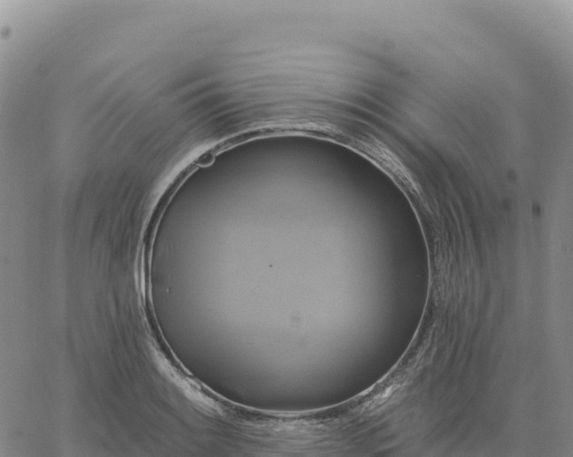 X0000061751084200512091630