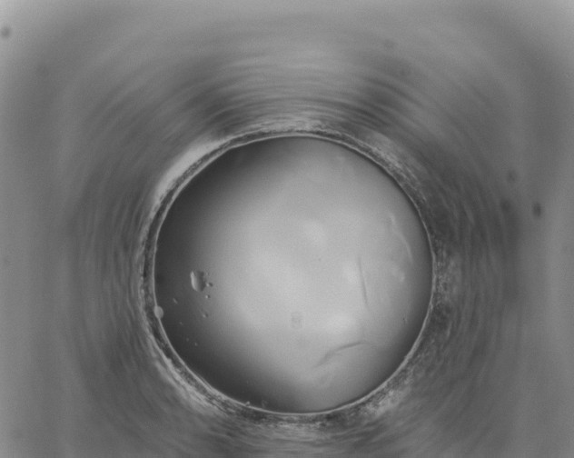 X0000061751086200512091630